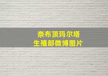 奈布顶玛尔塔生殖部微博图片