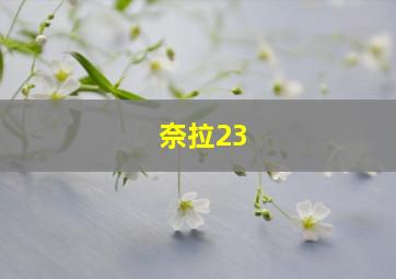 奈拉23