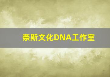 奈斯文化DNA工作室