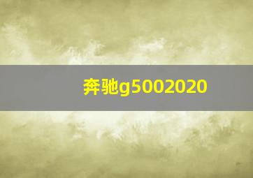 奔驰g5002020