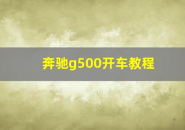 奔驰g500开车教程