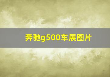 奔驰g500车展图片