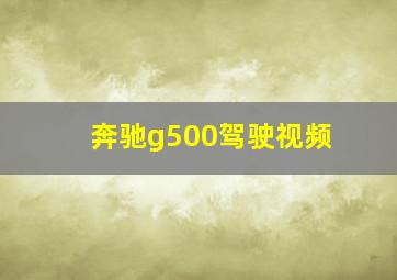 奔驰g500驾驶视频