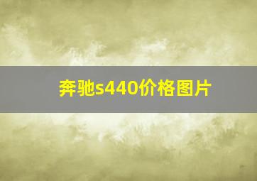 奔驰s440价格图片