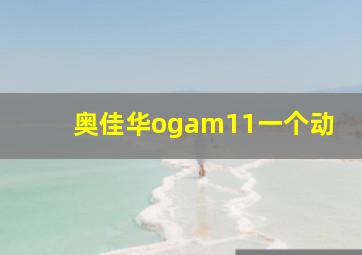 奥佳华ogam11一个动