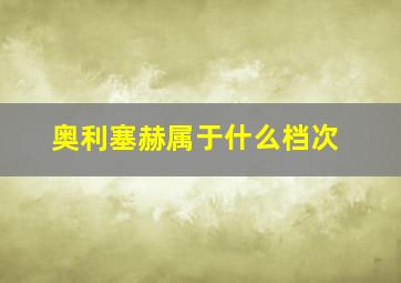 奥利塞赫属于什么档次