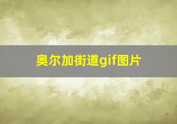 奥尔加街道gif图片