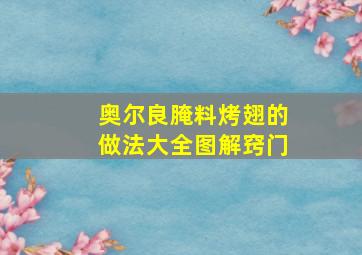 奥尔良腌料烤翅的做法大全图解窍门