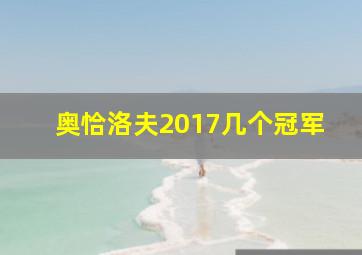 奥恰洛夫2017几个冠军