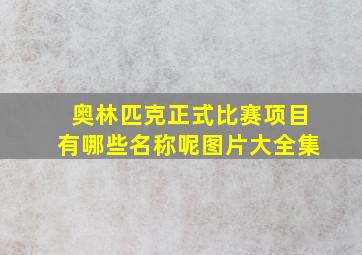 奥林匹克正式比赛项目有哪些名称呢图片大全集