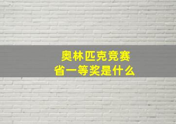 奥林匹克竞赛省一等奖是什么