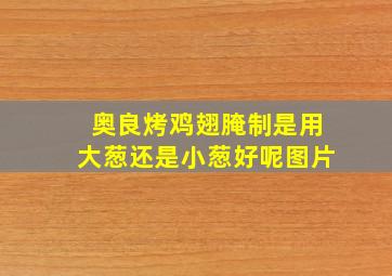 奥良烤鸡翅腌制是用大葱还是小葱好呢图片