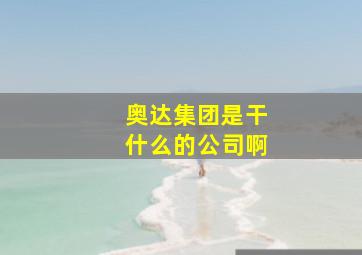 奥达集团是干什么的公司啊