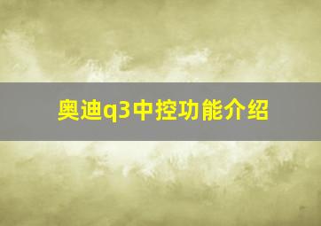 奥迪q3中控功能介绍