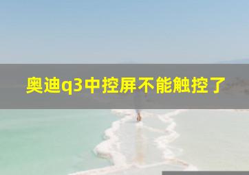 奥迪q3中控屏不能触控了