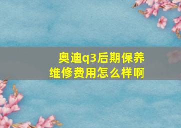 奥迪q3后期保养维修费用怎么样啊