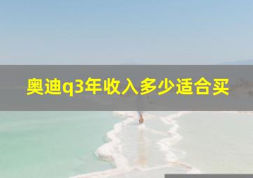 奥迪q3年收入多少适合买