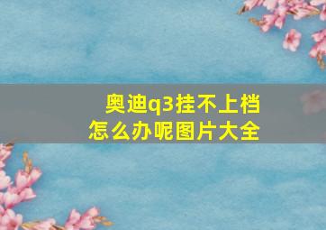 奥迪q3挂不上档怎么办呢图片大全