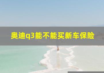 奥迪q3能不能买新车保险