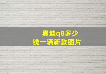 奥迪q8多少钱一辆新款图片