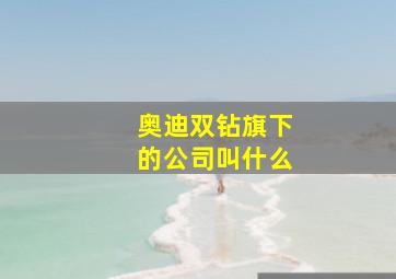 奥迪双钻旗下的公司叫什么