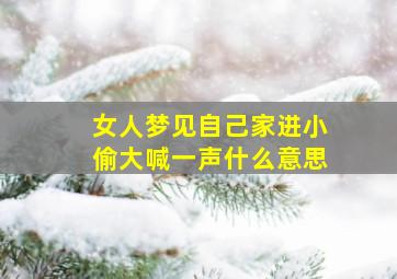 女人梦见自己家进小偷大喊一声什么意思