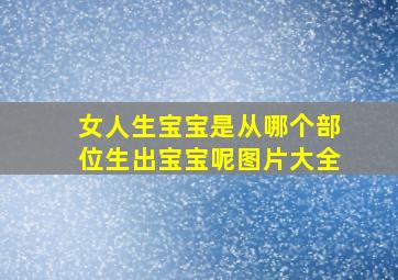 女人生宝宝是从哪个部位生出宝宝呢图片大全