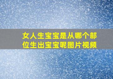 女人生宝宝是从哪个部位生出宝宝呢图片视频