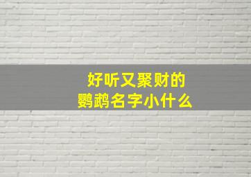 好听又聚财的鹦鹉名字小什么