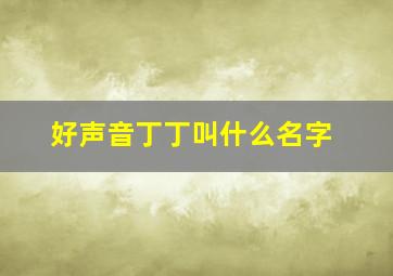 好声音丁丁叫什么名字