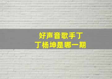 好声音歌手丁丁杨坤是哪一期