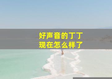 好声音的丁丁现在怎么样了