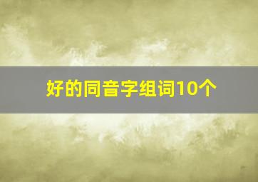 好的同音字组词10个