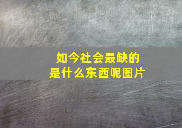 如今社会最缺的是什么东西呢图片