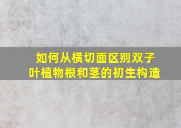 如何从横切面区别双子叶植物根和茎的初生构造