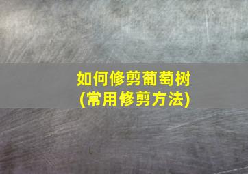 如何修剪葡萄树(常用修剪方法)