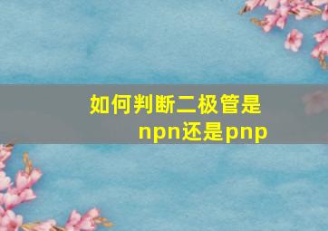 如何判断二极管是npn还是pnp