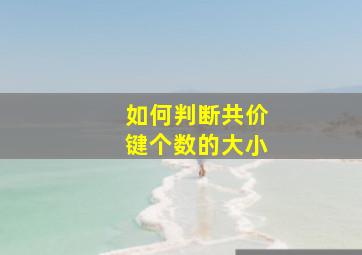 如何判断共价键个数的大小