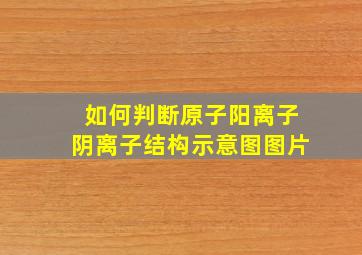 如何判断原子阳离子阴离子结构示意图图片