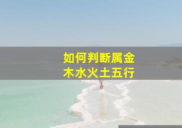 如何判断属金木水火土五行