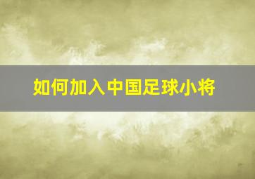 如何加入中国足球小将