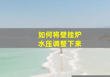 如何将壁挂炉水压调整下来