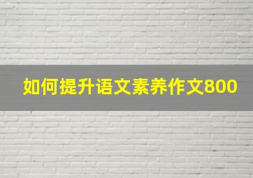 如何提升语文素养作文800