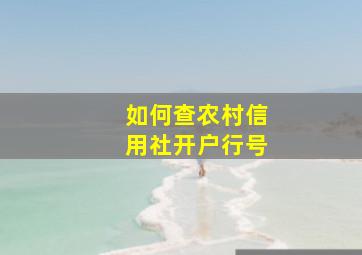 如何查农村信用社开户行号