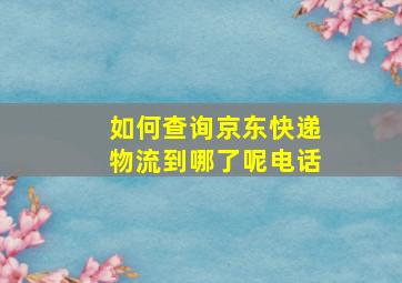 如何查询京东快递物流到哪了呢电话