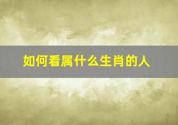 如何看属什么生肖的人