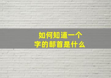 如何知道一个字的部首是什么