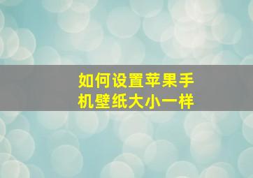 如何设置苹果手机壁纸大小一样