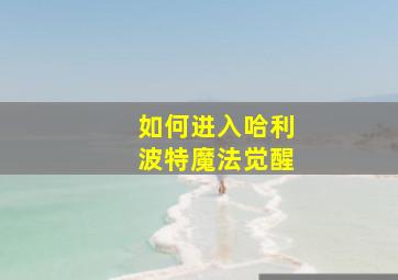 如何进入哈利波特魔法觉醒