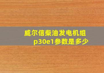 威尔信柴油发电机组p30e1参数是多少